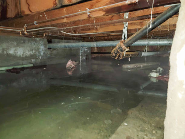 Professional Water damage restoration in Kerrville, TX