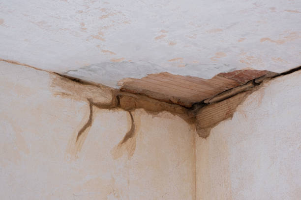 Best Residential water damage restoration  in Kerrville, TX