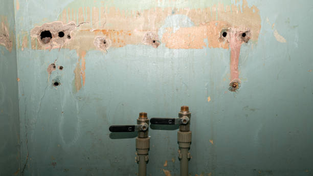 Best Commercial water damage restoration  in Kerrville, TX