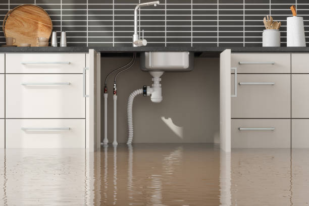 Best Fire Damage Restoration  in Kerrville, TX